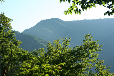 雲取山の写真
