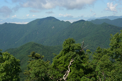 山頂から見た飛龍山方面の写真