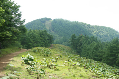 七ッ石山の写真