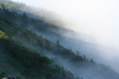 山肌を流れる霧の写真