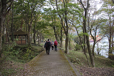 桃源台近くの遊歩道を歩いている写真