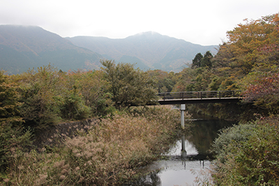 早川に架かる橋と金時山の写真