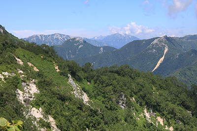 合戦尾根の登りから見た餓鬼岳、唐沢岳、鹿島槍ヶ岳、蓮華岳の写真