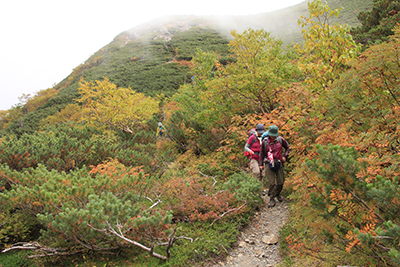 紅葉のきれいな登山道を歩いている写真