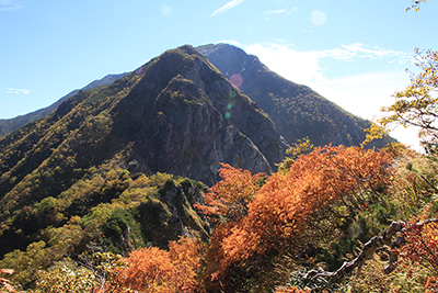 兎岳への登りから見た紅葉したナナカマドと聖岳