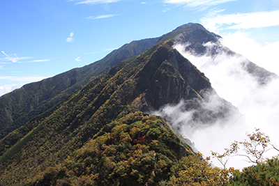 兎岳への登りから見た雲がわいてきた聖岳の写真