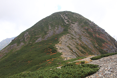 大沢岳方面から見た中盛丸山の写真