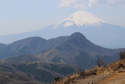 富士山と金時山の写真