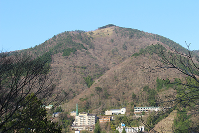 明神ヶ岳と山頂直下の大文字の刈り込みの写真
