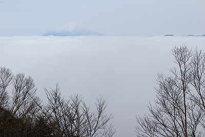 山頂で撮影した雲海に浮かぶ富士山の写真