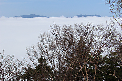 山頂から見た雲海に浮かぶ国師ヶ岳、北奥千丈岳と木賊山、甲武信ヶ岳、三宝山の写真