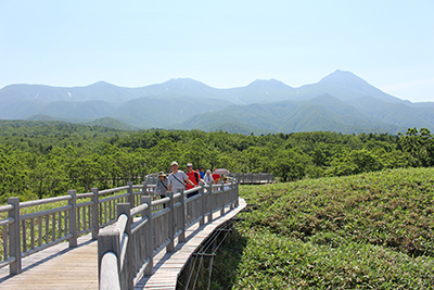 羅臼岳等を背に知床五湖の木道を歩いている写真