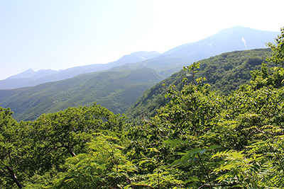 登山道から見た硫黄山方面の写真