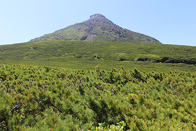 羅臼平付近から見た羅臼岳の写真