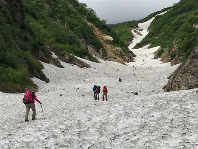 Kさんが撮影した針ノ木雪渓を登っているメンバーの写真
