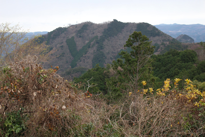 発端丈山方面から見た葛城山の写真