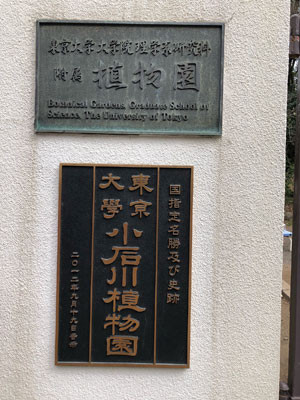 小石川植物園入り口の門の写真