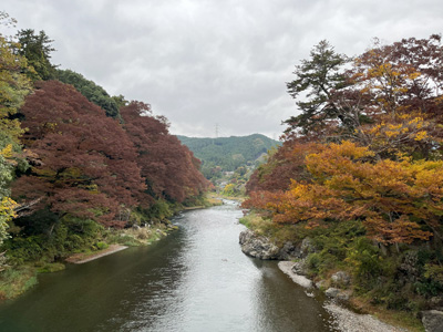 両岸の木が紅葉した多摩川の写真