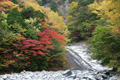 西のナメ沢出合の滝と紅葉の写真にリンク