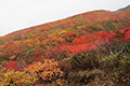 栗駒山の東栗駒コース山腹の紅葉の写真にリンク